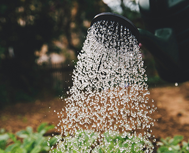 Farming, Food and You
